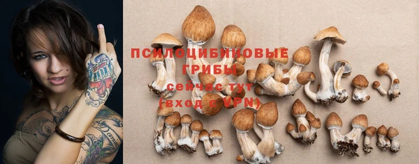 прущая мука Арсеньев