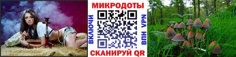 Псилоцибиновые грибы Psilocybine cubensis Сенгилей