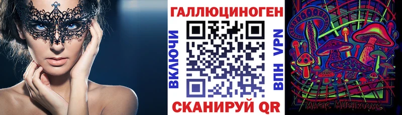 продажа наркотиков  Сенгилей  нарко площадка формула  Псилоцибиновые грибы Cubensis 